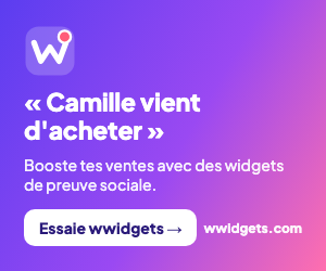 wwidgets banner 300x250