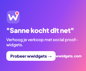 wwidgets banner 300x250