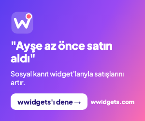 wwidgets banner 300x250